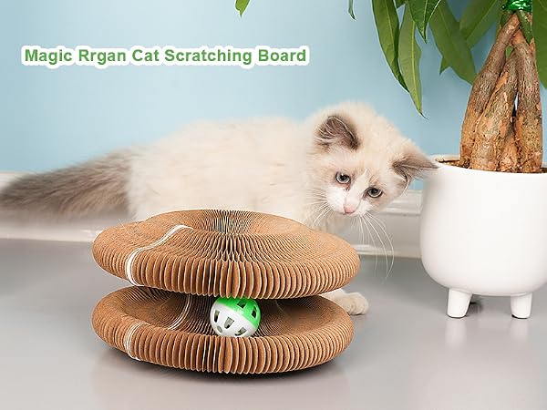 cats toys