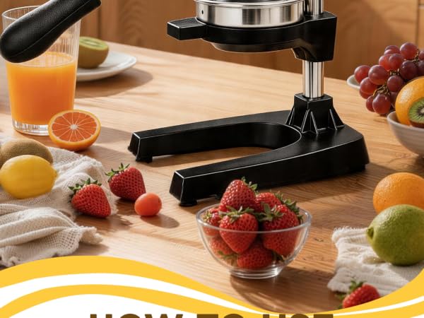Cast Iron Juicer