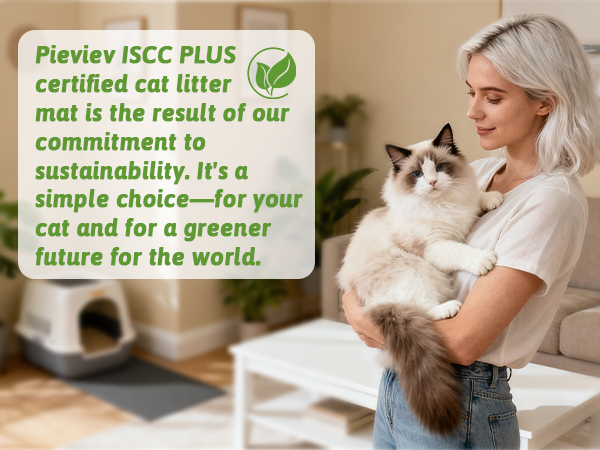 cat mat for litter box