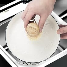 dish brush