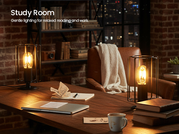 B05TLP205 Table Lamp