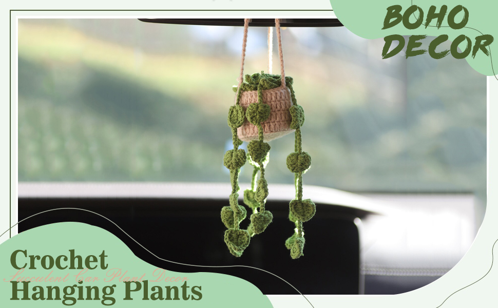plant mirror hanging car