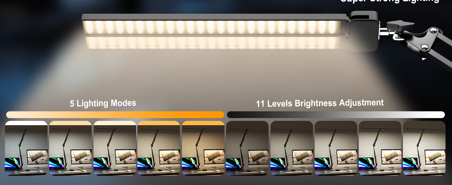 Led Desk Lamp