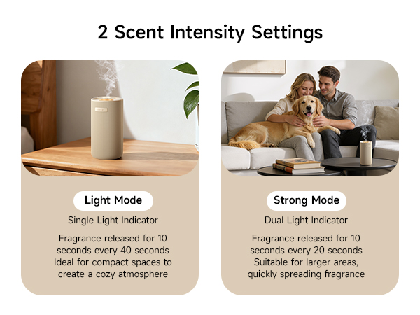 oil diffusers for home