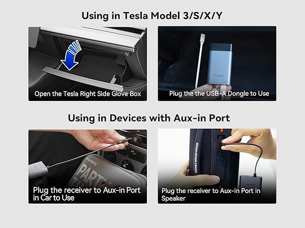 tesla car karaoke microphone for model y
