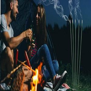 picnic