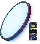 Govee Smart Ceiling Light, RGBIC LED Ceiling Light Fixture, 2400LM Flush Mount Light Fixture, DIY...