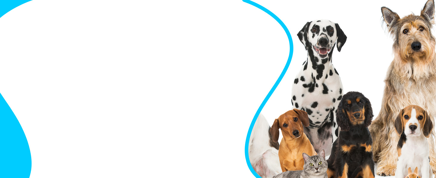 pig nail file per nail clippers dogs nail clippers pet nail trimmers for dogs pet nail trapper