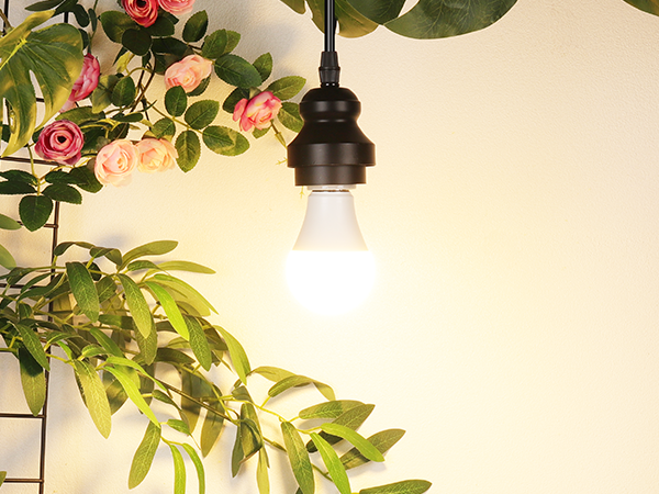 A19 LED Light Bulb