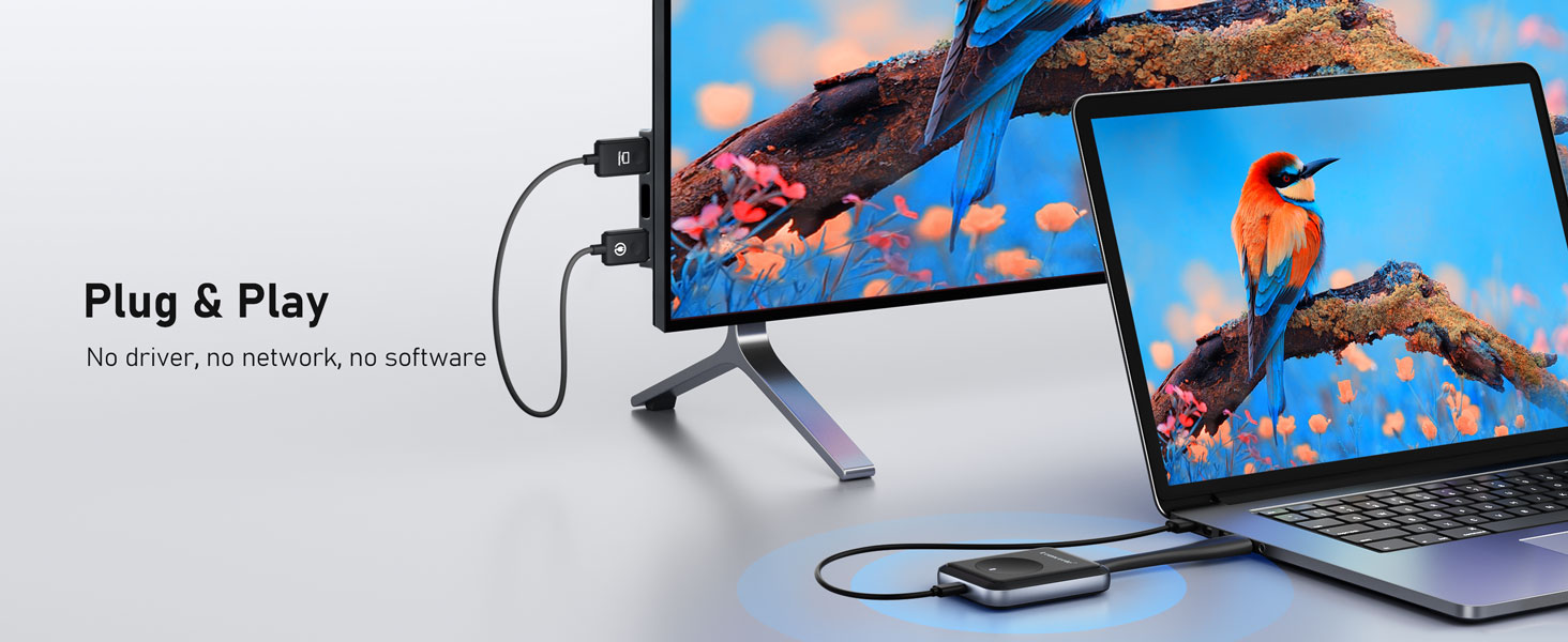 Plug and Play