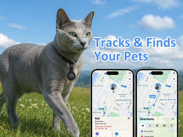 tracker for cat