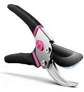 shears