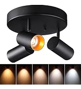 LEONLITE 36W COB 5CCT LED Ceiling Spotlight Fixture, 2700K/3000K/3500K/4000K/5000K Selectable, CR...