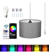 ZSLAIFU 15FT Hanging Lamp with Switch,Gray Hanging Lights with Plug in Cord, Pendant Lamp with Re...