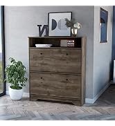 Donext Shoe Cabinet, Freestanding Tipping Bucket Shoe Storage Cabinet with 2 Flip Drawers, Entryw...