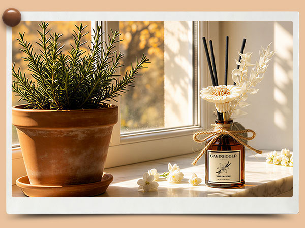 Reed Diffuser