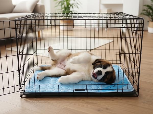 puppy dog lying on a cooling mat in a crate