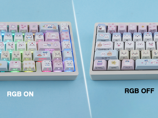 PBT Keycaps
