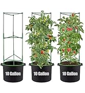 ANPHSIN Sturdy Triangle Tomato Cage with Movable 10 Gal Grow Bags - 3 Sets 47'' Plants Garden Tre...