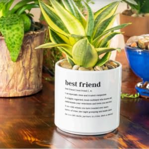 Best Friend Planter