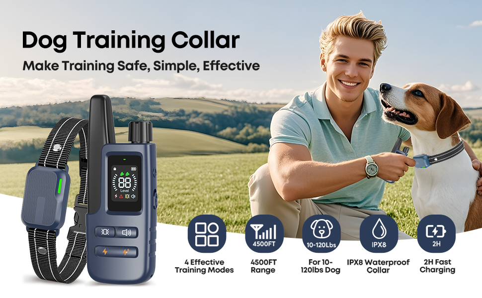 e collar for dogs training