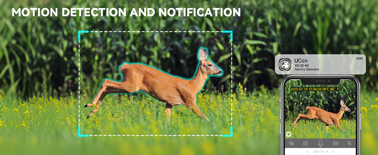 4g trail cameras with night vision motion