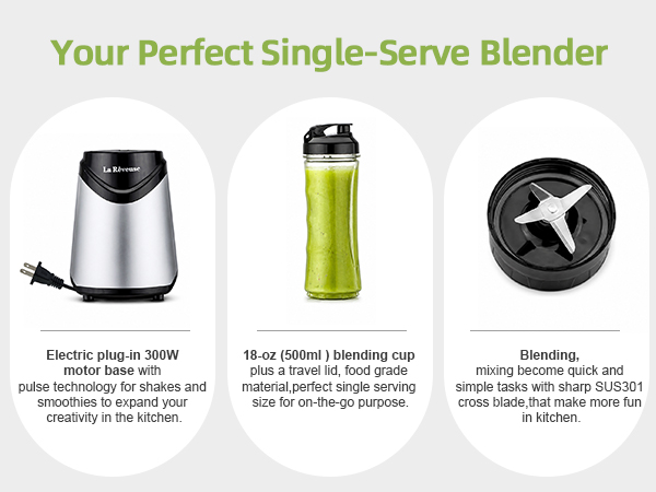 blender for shakes and smoothies
