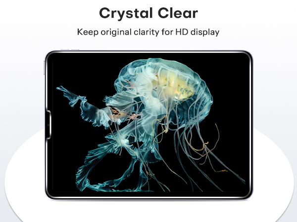iPad pro 11 inch screen protector