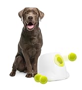 dog toy