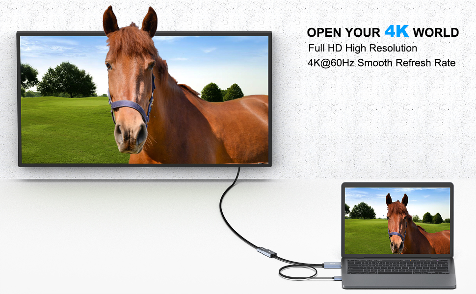 000343grey-a-section-4