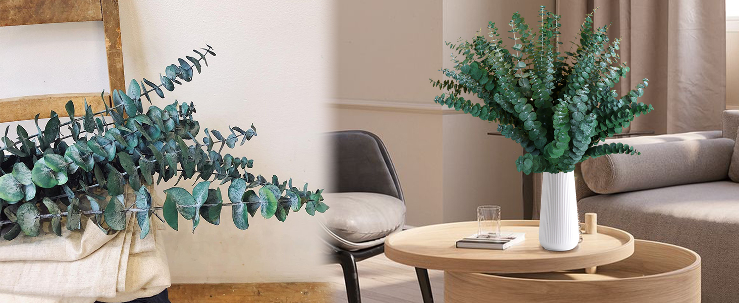 eucalyptus decor