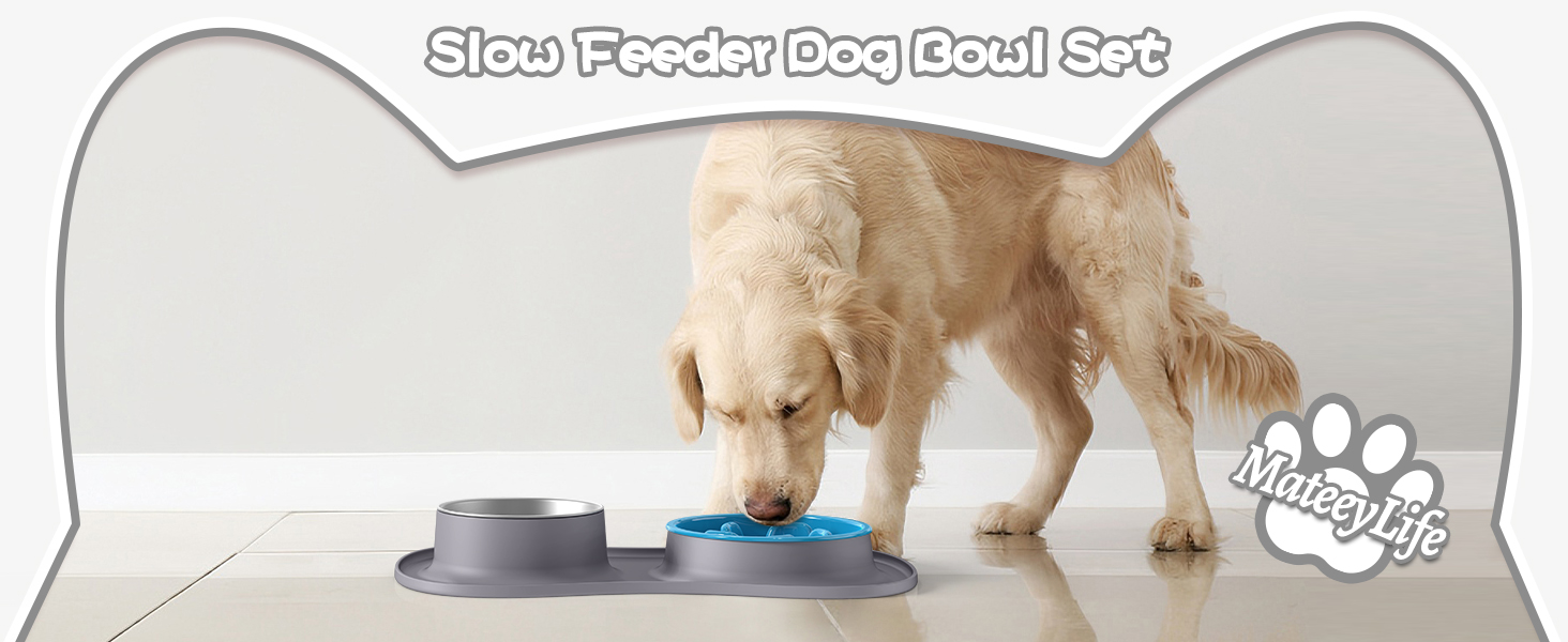 dog bowls, slow feeder dog bowls, dog bowl, dog food bowl, dog slow feeder bowl