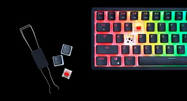 km250 rgb keyswitch