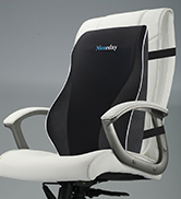 back support cushion