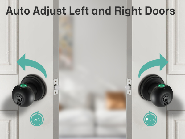 Auto Adjust Left and Right Doors