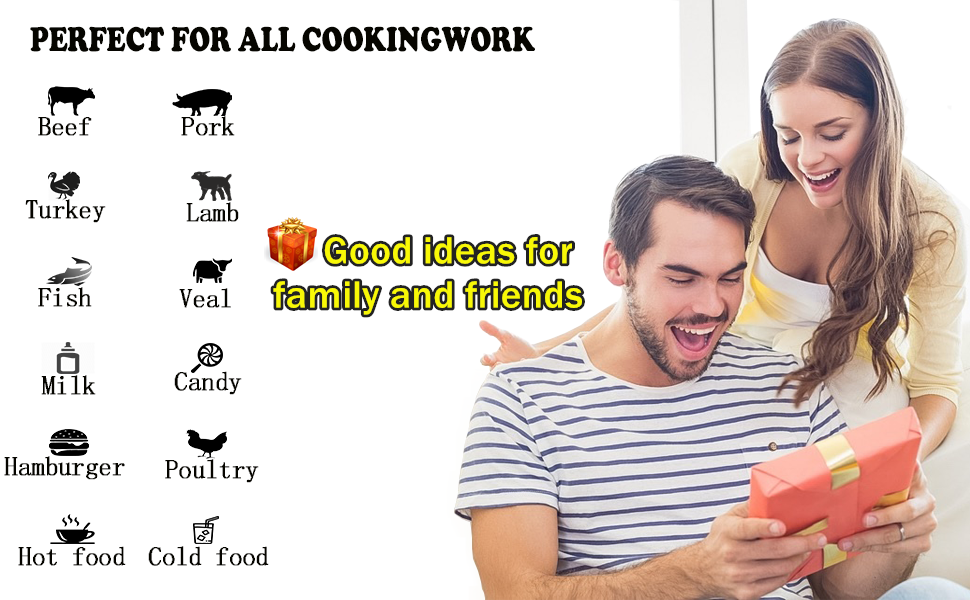 meat thermometer for grilling