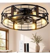 addlon 24 Inch Farmhouse Flush Mount Ceiling Fans with Lights and Remote, Black Caged Fandelier C...