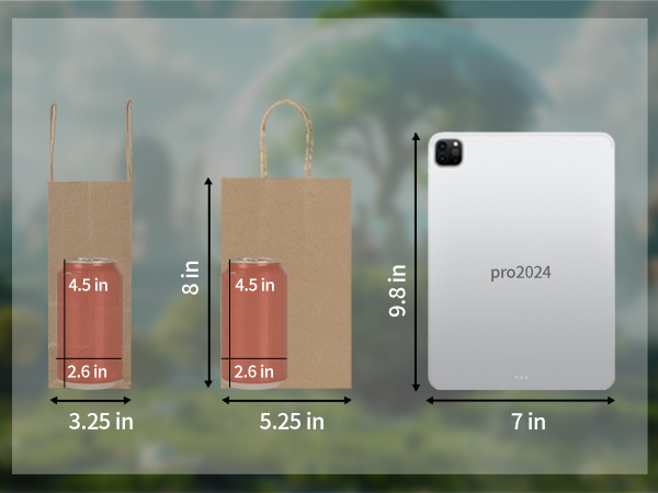 Small Kraft Paper Bags with Handles Bulk