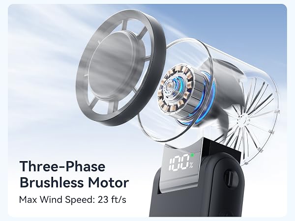 Three-Phase Brushless Motor