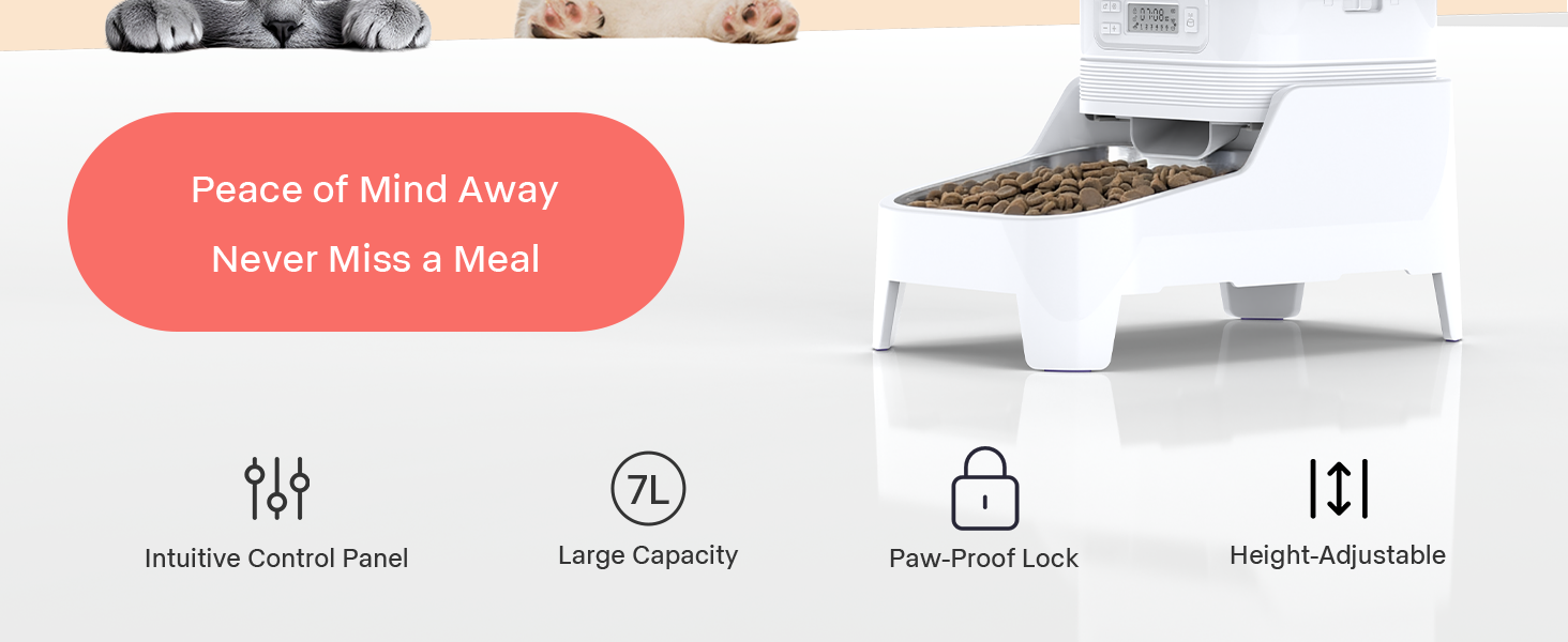 automatic cat feeder