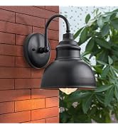 LYHKOVANPRO Outdoor Gooseneck Barn Light Fixture Anti-Rust Waterproof Industrial Matte Black Outs...