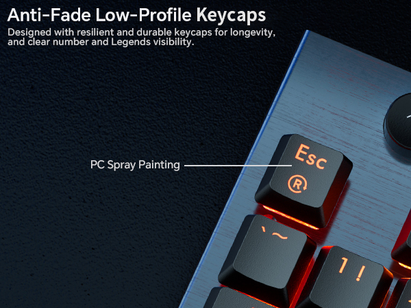hot swappable mechanical keyboard