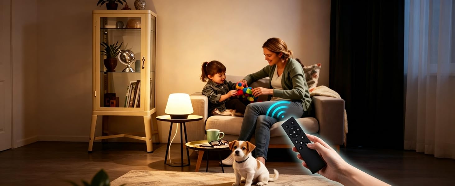 Remote control light bulbs