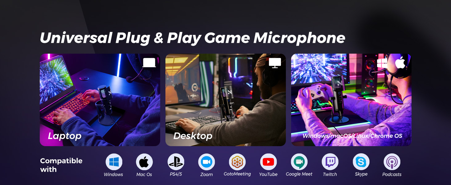 microphone with stand