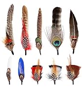 SendyFeather Hat Feathers 10 Styles Natural Assorted Feathers for Fedora Hats Accessories DIY Cra...