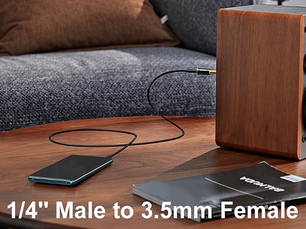3.5 & 6.35 Headphone Adapter