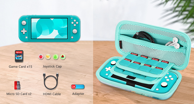 Nintendo Switch Lite case