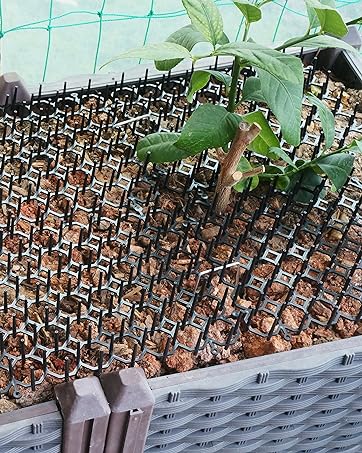 cat garden spikes