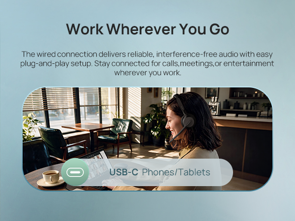 usbc headset with microphone