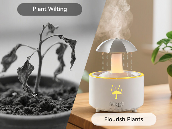 Flourish Plants